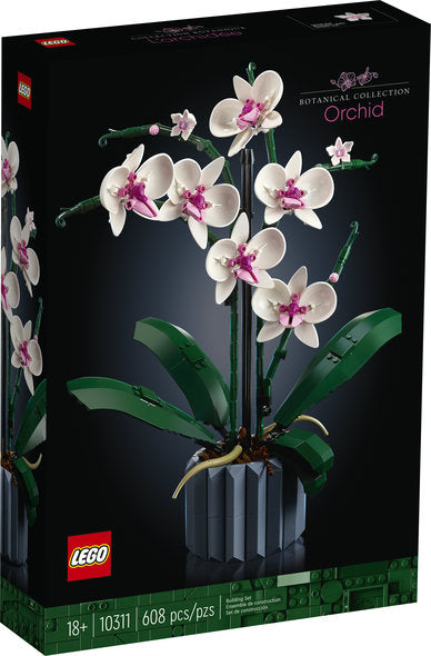 Orchid V39