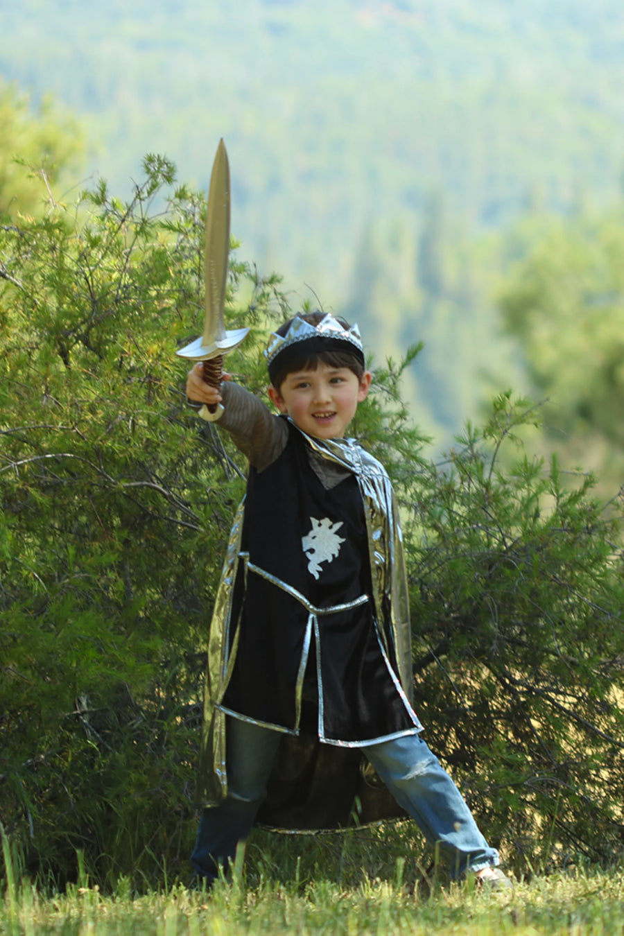 Silver Knight With Tunic, Cape, & Crown, Size 5-6