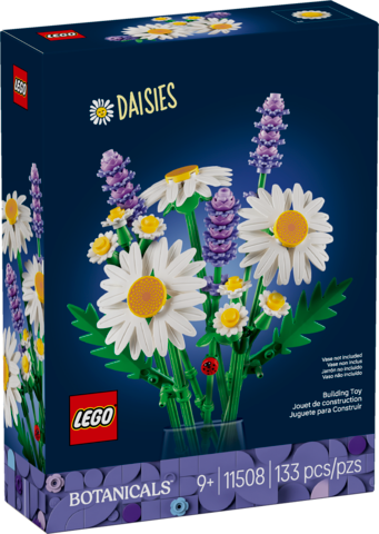 Daisies