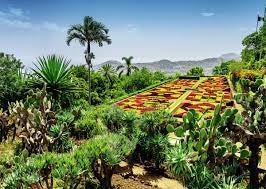 Beautiful Gardens - Botanical Garden, Madeira 1000pc