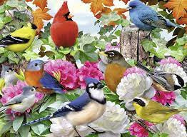 Garden Birds -500pc