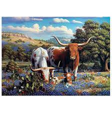 Loving Longhorns - 500pcs