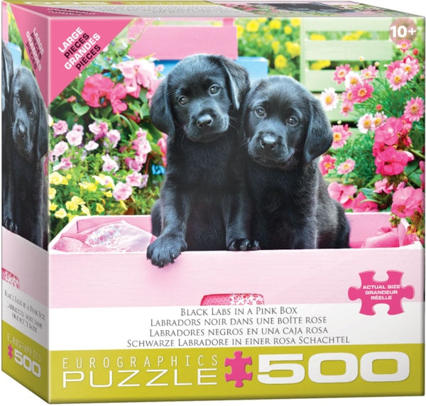 Black Labs in Pink Box - 500 pc
