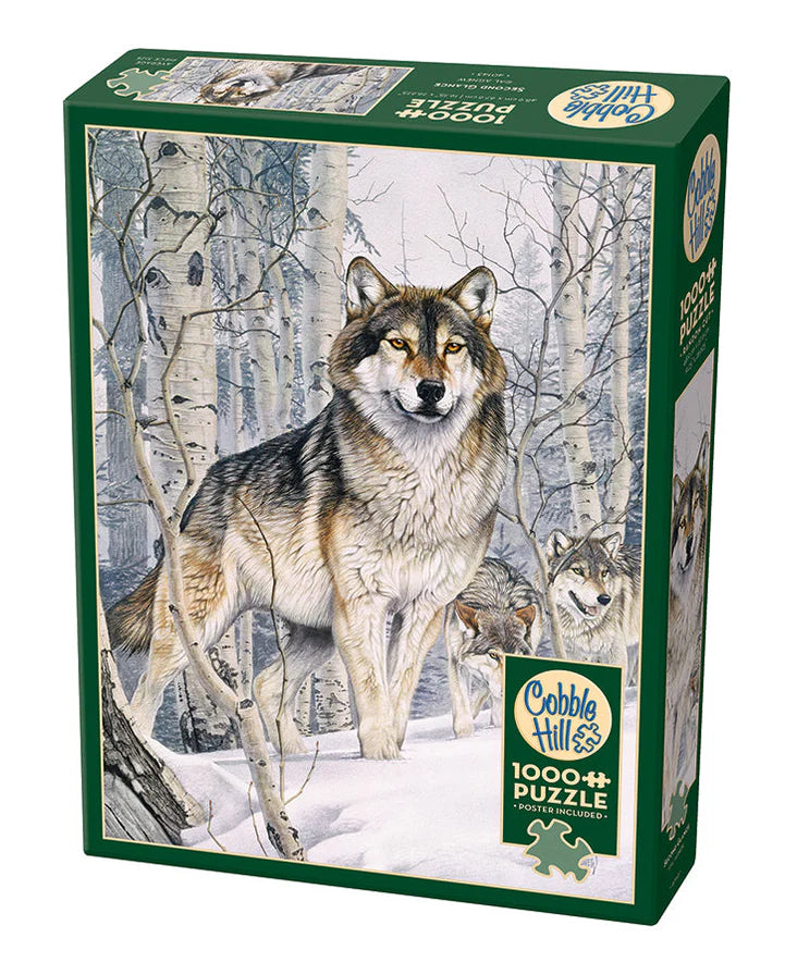 Second Glance - 1000pc