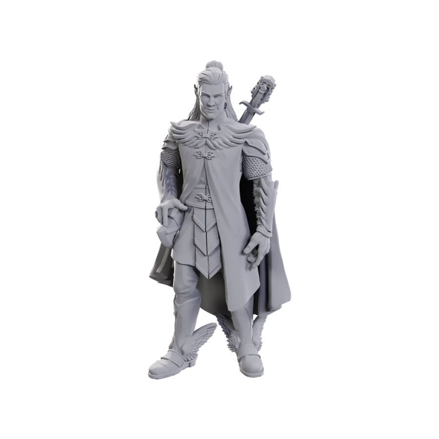 Critical Role Unpainted Miniatures: Wave 23: Dorian Storm*SEPT 2024