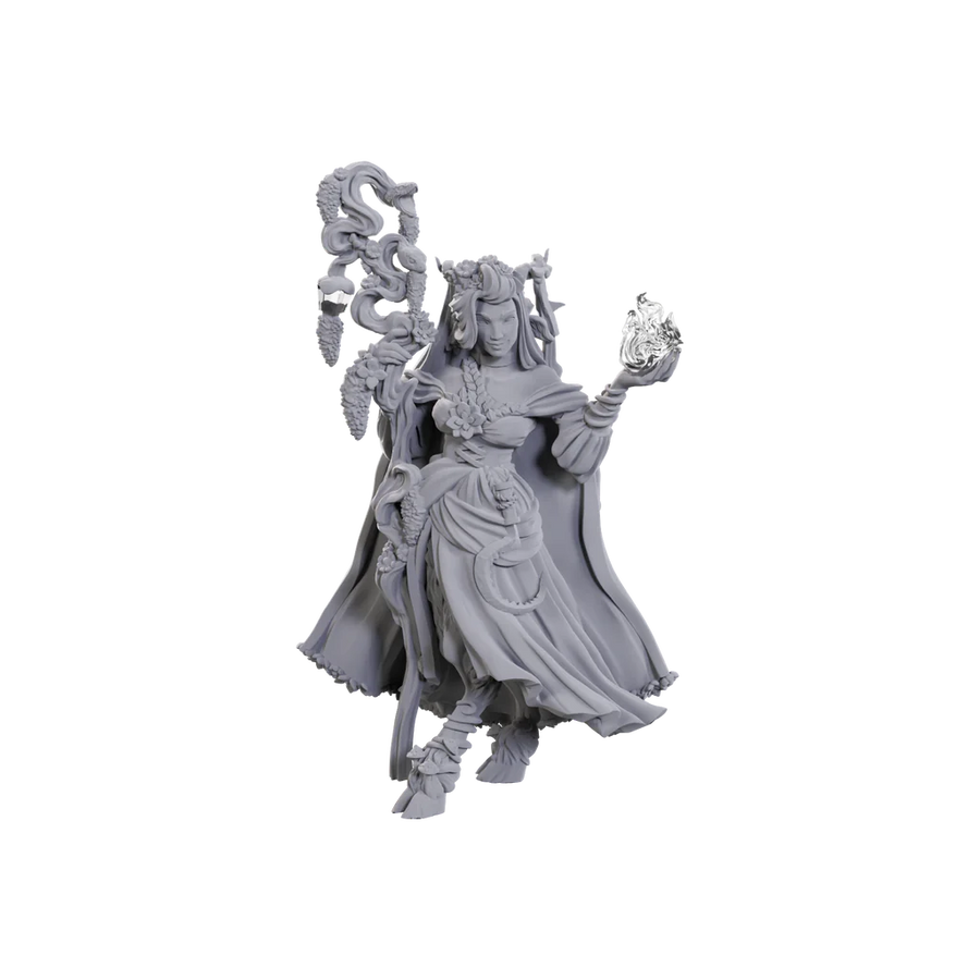 Critical Role Unpainted Miniatures: Wave 23: Fearne Calloway & Mister *SEPT 2024