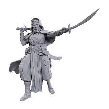 Pathfinder Deep Cuts Unpainted Miniatures: Wave 23: Desert Giant *SEPT 2024