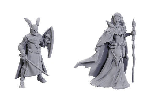 D&D Nolzur’s Marvelous Unpainted Miniatures: Limited Edition 50th Anniversary: Elves