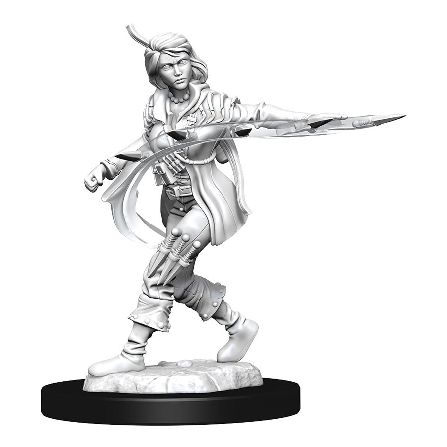 Pathfinder Deep Cuts Unpainted Miniatures: Wave 14: Human Rogue Female