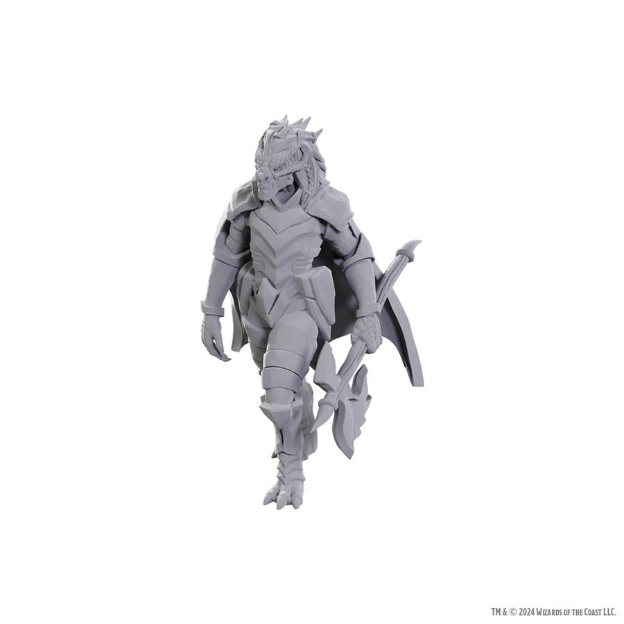 D&D Nolzur's Marvelous Unpainted Miniatures: Wave 25: Dragonborn of Tiamat