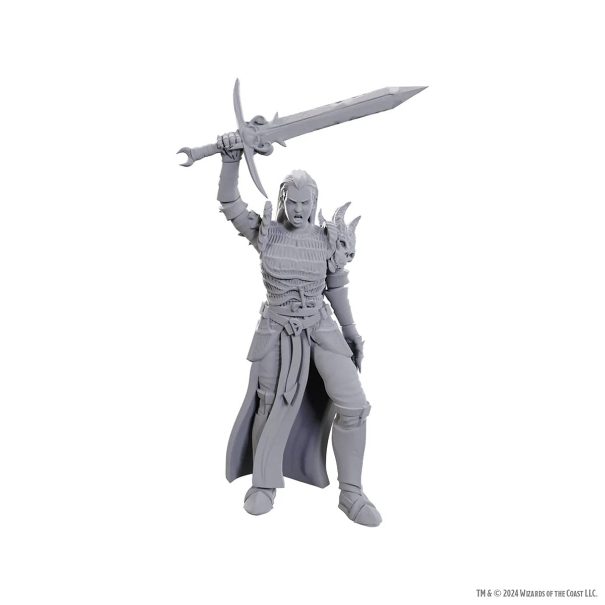D&D Nolzur's Marvelous Unpainted Miniatures: Wave 25: Blackguard