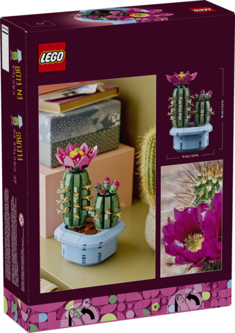 Flowering Cactus