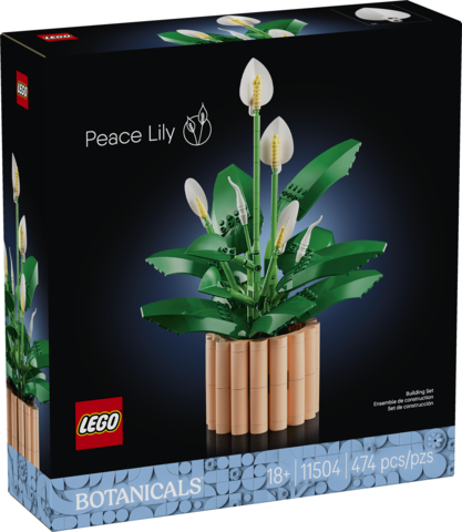 Peace Lily