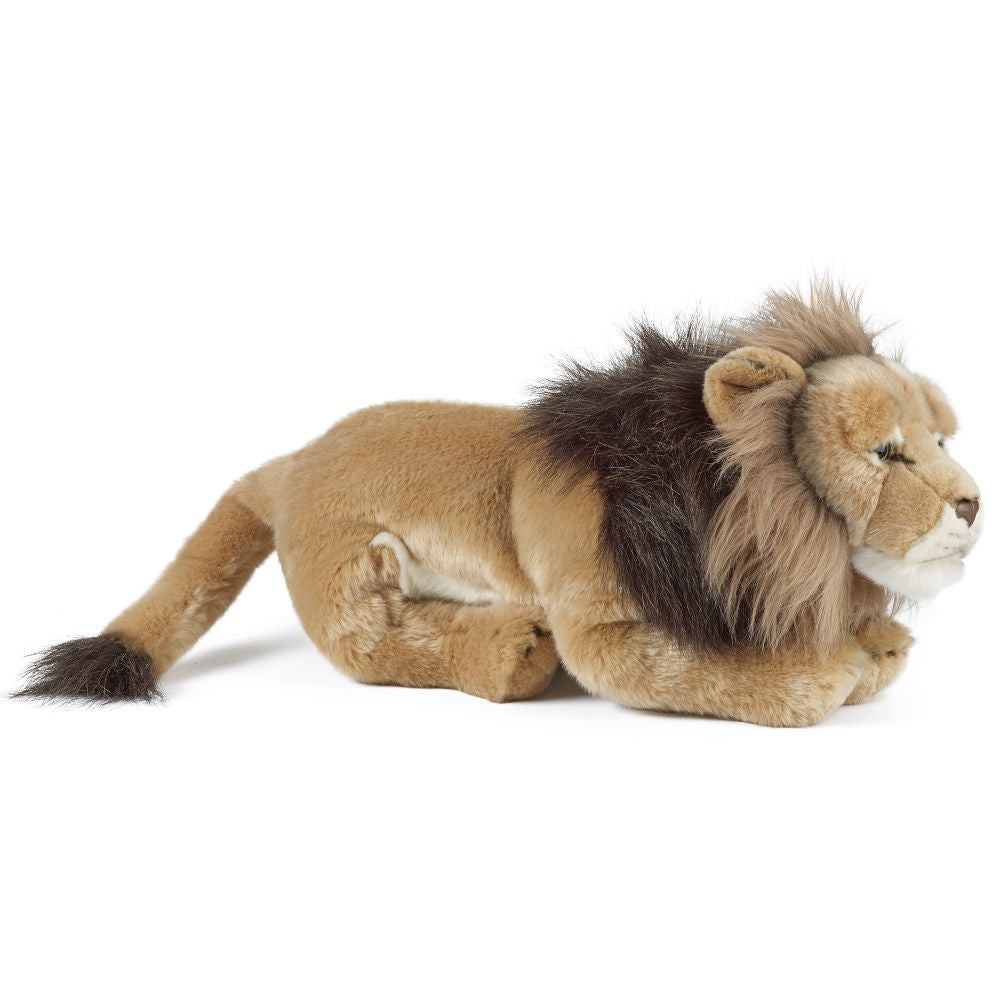 Living Nature Lion
