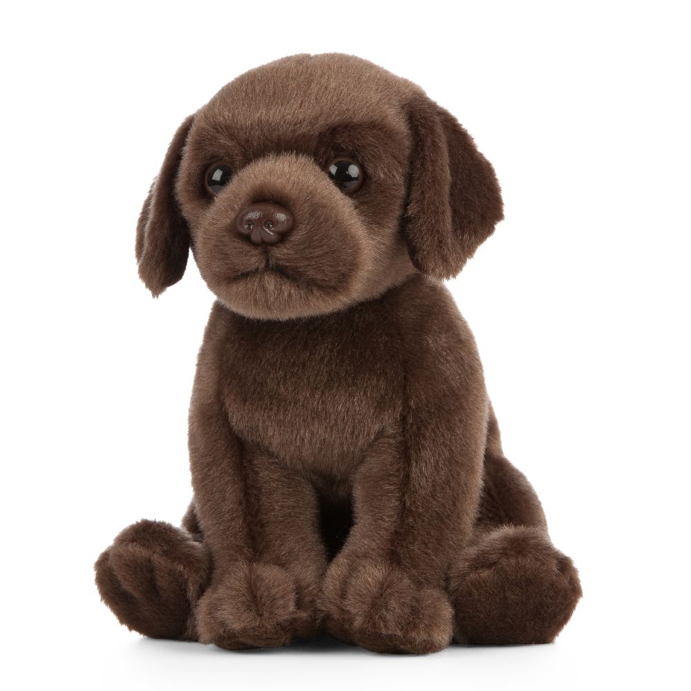 Living Nature Chocolate Labrador Puppy