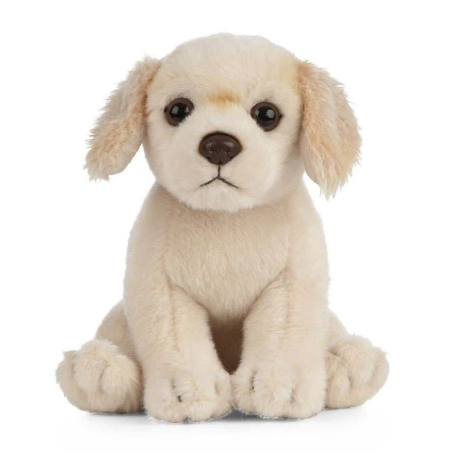 Living Nature Golden Retriever Puppy