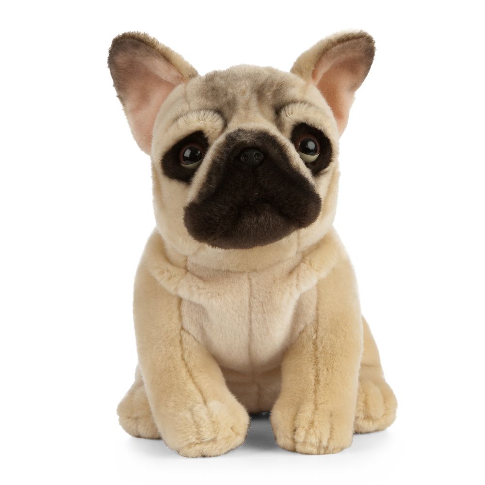 Living Nature Sitting French Bulldog