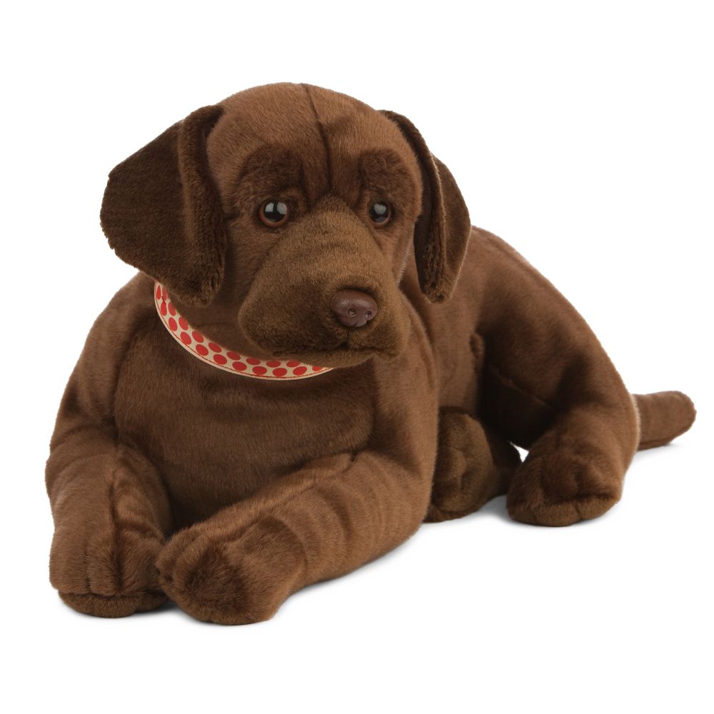 Giant Chocolate Lab