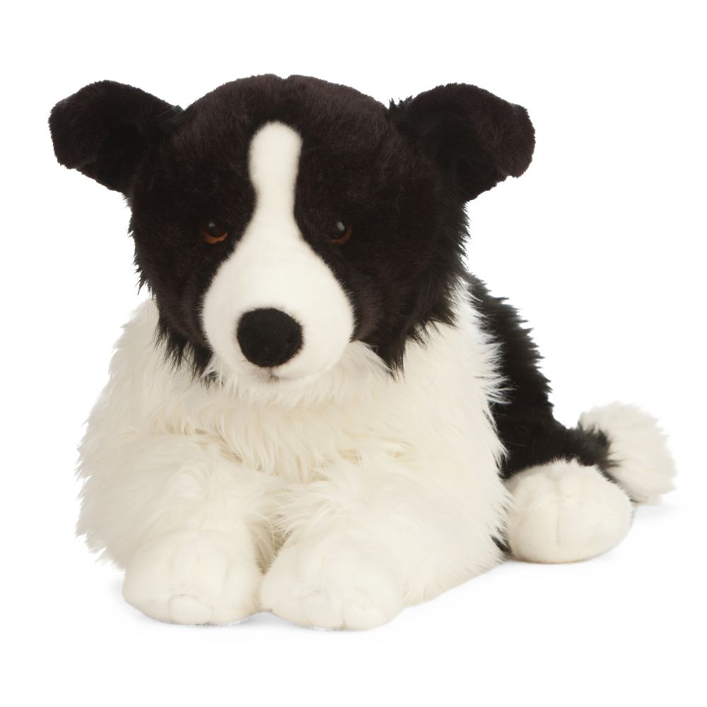 Giant Border Collie
