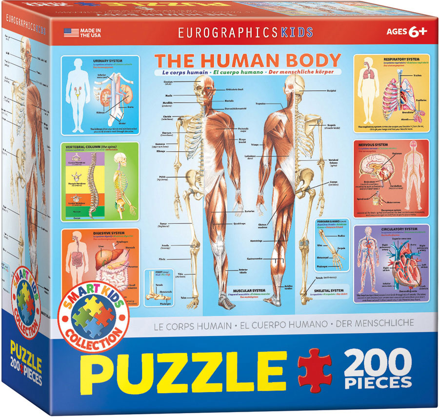 The Human Body - 200pc