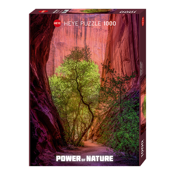 Power of Nature: The Singing Canyon - 1000 pc