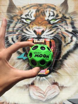 Moon Ball (Regular Size and Colours)