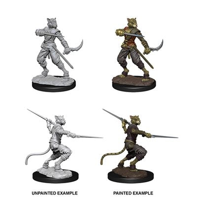 D&D Nolzurs Marvelous Unpainted Miniatures: Wave 7: Male Tabaxi Rogue