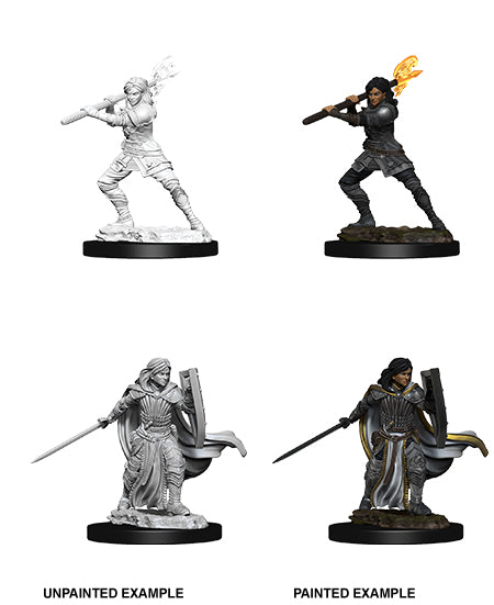 D&D Nolzurs Marvelous Unpainted Miniature Wave 10: Female Human Paladin