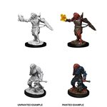 D&D Nolzurs Unpainted Miniatures - Wave 11 - Male Dragonborn Paladin