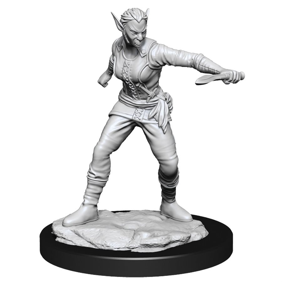 D&D Nolzur's Marvelous Unpainted Miniatures: Wave 13: Shifter Rogue Female