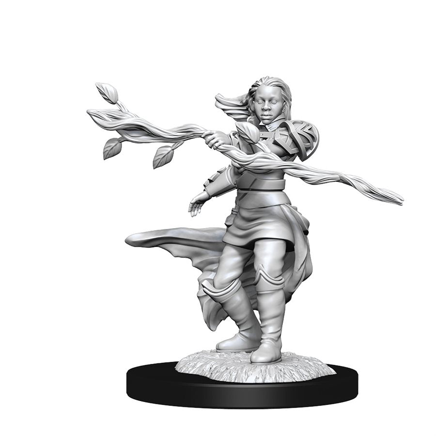 D&D Nolzur's Marvelous Miniatures: Wave 14: Human Druid Female