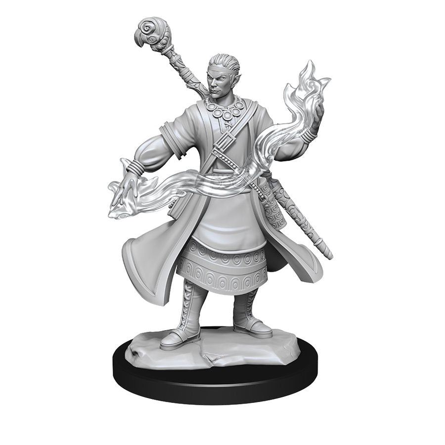D&D Nolzur's Marvelous Miniatures: Wave 14: Half-Elf Wizard Male