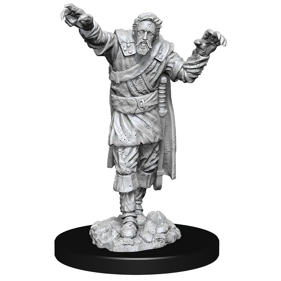 D&D Nolzur's Marvelous Miniatures: Wave 14: Scarecrow & Stone Cursed