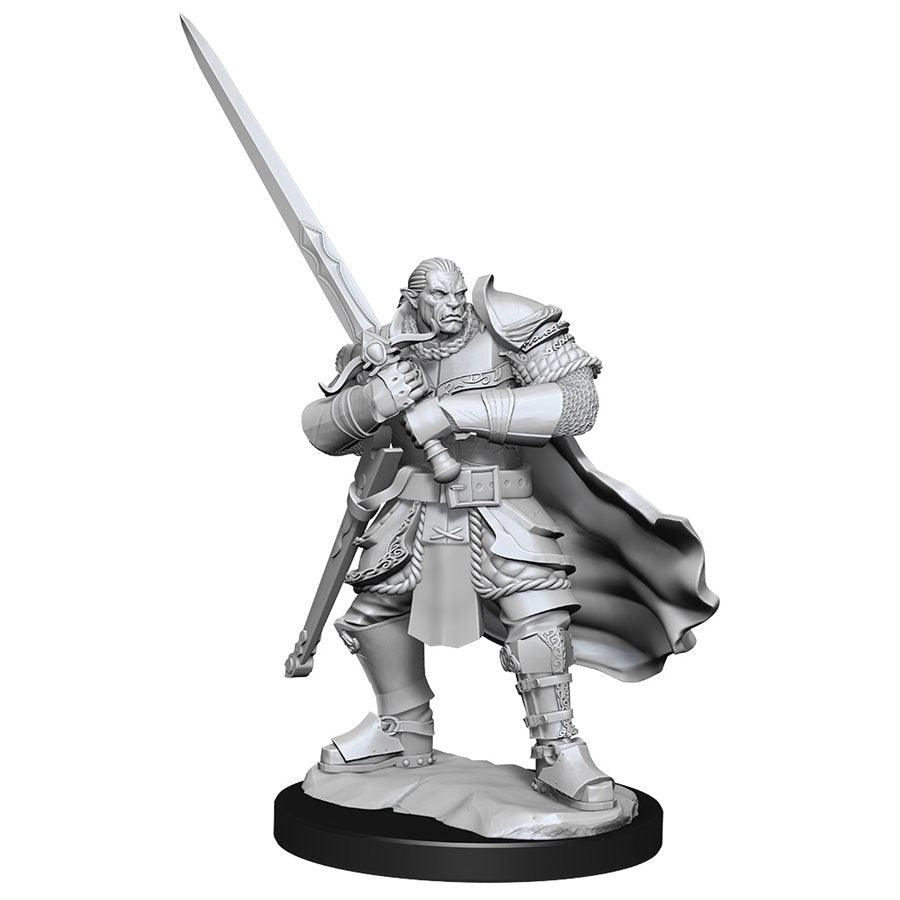 D&D Nolzur's Marvelous Miniatures: Wave 15: Half-Orc Paladin Male