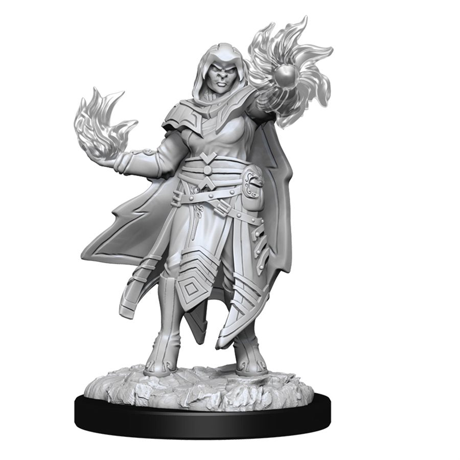 D&D Nolzur's Marvelous Miniatures: Wave 15: Hobgoblin Fighter Male & Hobgoblin Wizard Female