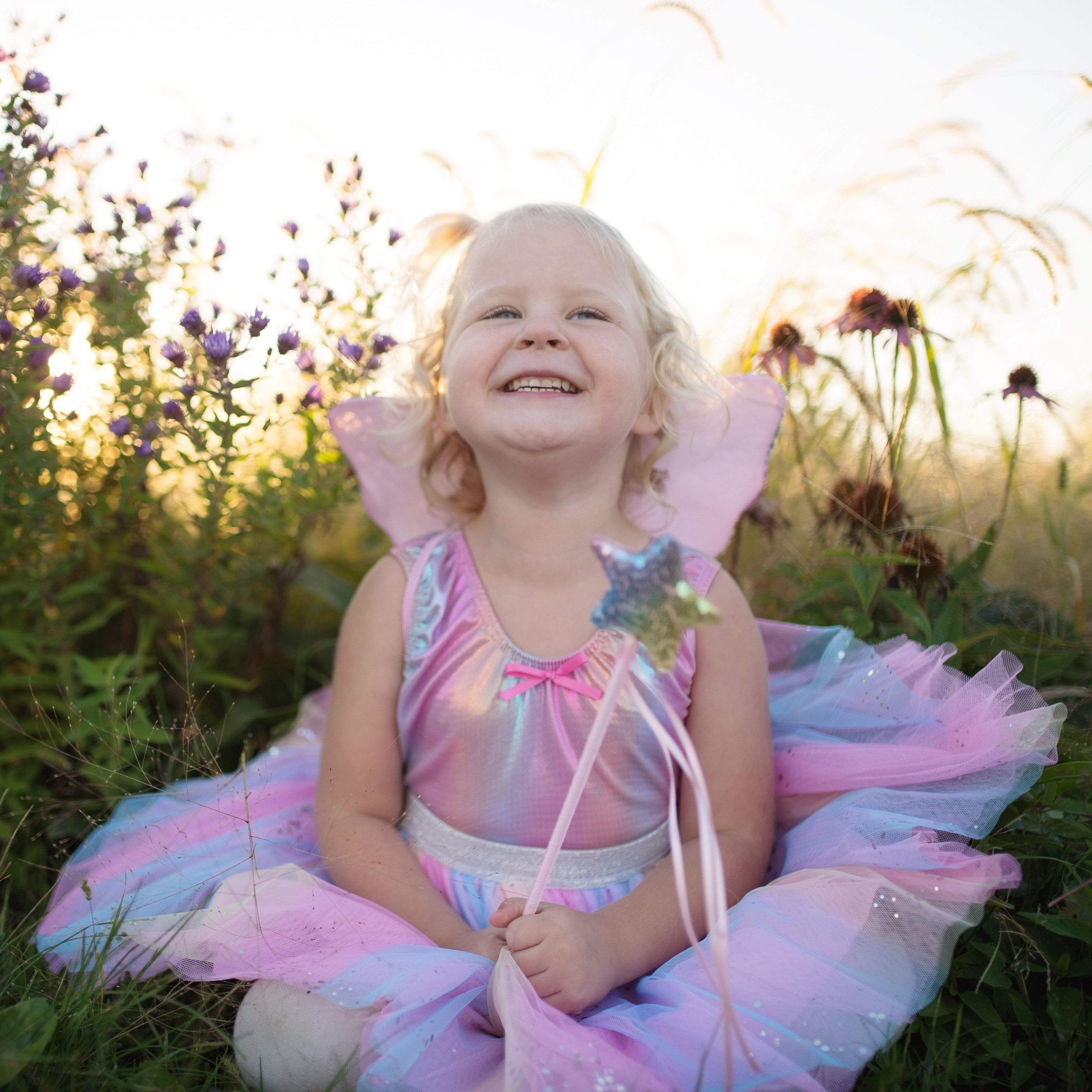 Rainbow Sequins, Skirt, Wings and Wand Set