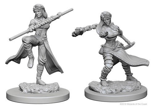 D&D Miniature Human Monk female