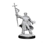 D&D Nolzur's Marvelous Unpainted Miniatures: Wave 13: Human Wizard Male