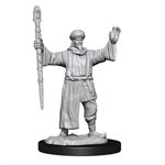 D&D Nolzur's Marvelous Unpainted Miniatures: Wave 13: Human Wizard Male